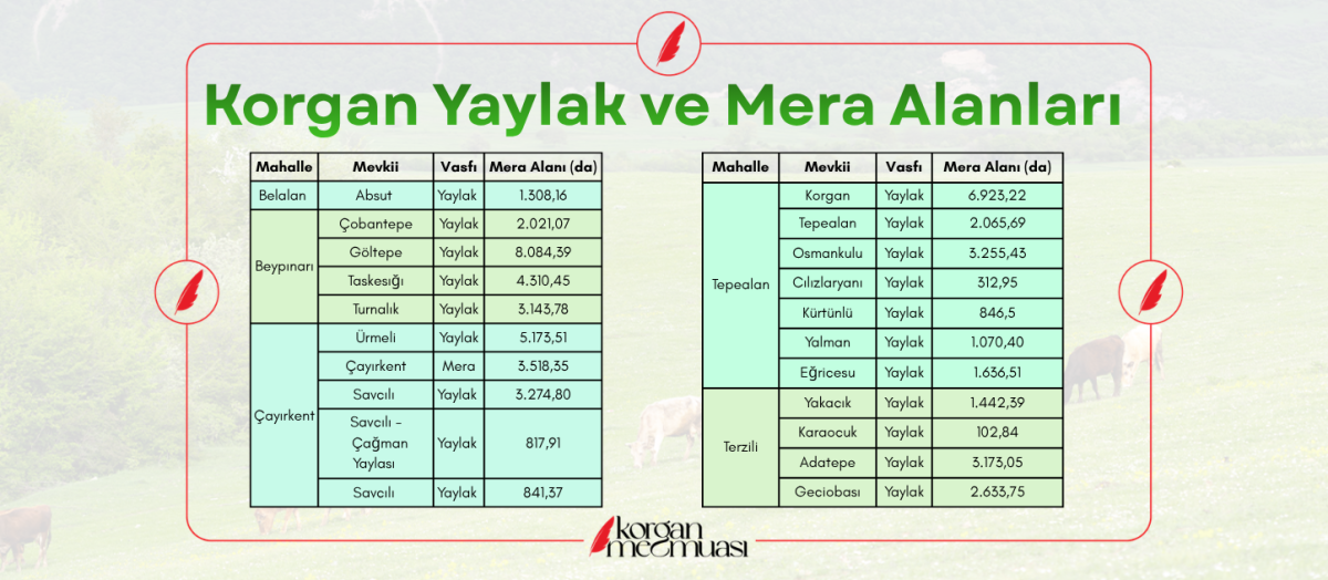Korgan'ın Yaylak ve Mera Alanları