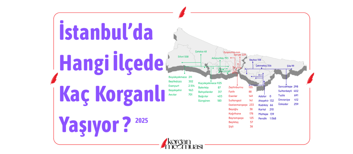 İstanbul'da Hangi İlçede Kaç Korganlı Yaşıyor ?