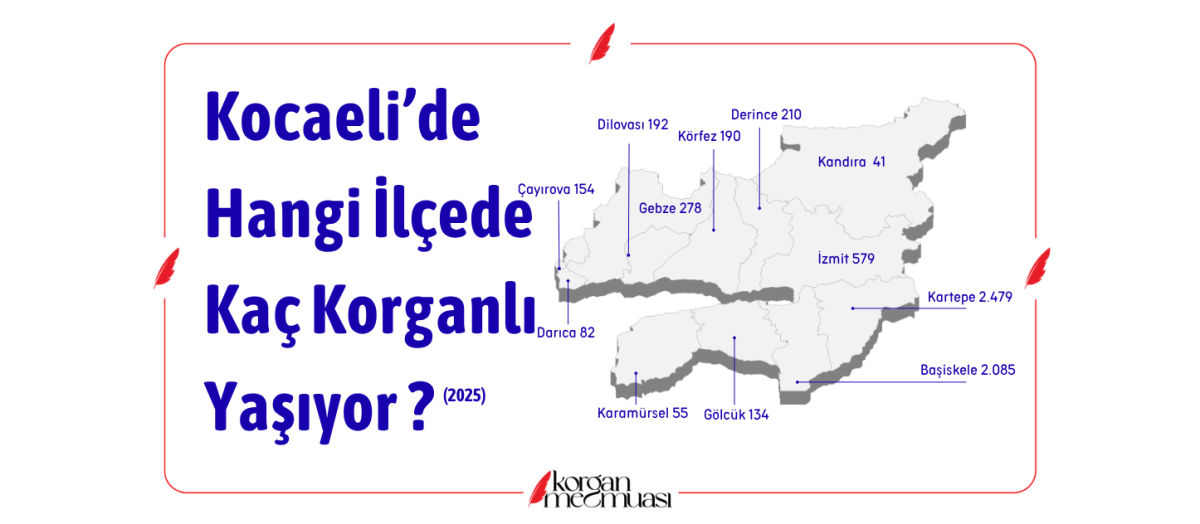 Kocaeli'de Hangi İlçede Kaç Korganlı Yaşıyor ?