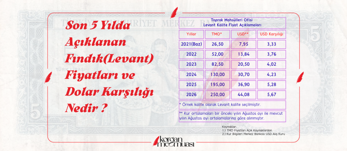 Son 5 Yılda Açıklanan Fındık Fiyatları ve Dolar Karşılığı Nedir ?