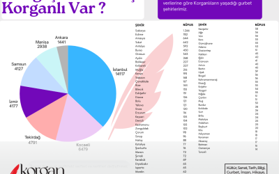 Hangi Şehirde Kaç Korganlı Var ?