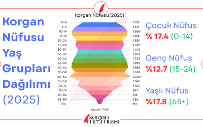 2025 Yılı Korgan Nüfusu Yaş Grupları Dağılımı
