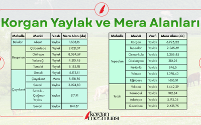 Korgan'ın Yaylak ve Mera Alanları