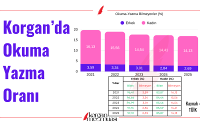 Korgan'da Okuma Yazma Bilme Oranı Nedir?