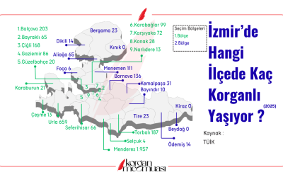 İzmir'de Hangi İlçede Kaç Korganlı Yaşıyor?