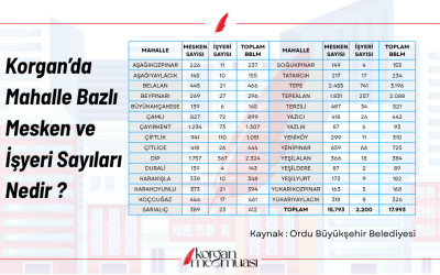 Korgan'da Mahalle Bazlı Mesken ve İşyeri Sayıları Nedir