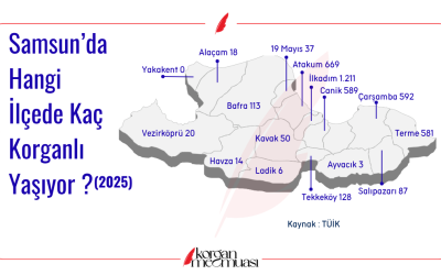 Samsun'da Hangi İlçede Kaç Korganlı Yaşıyor?