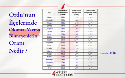 Ordu'da İlçe Bazlı Okuma-Yazma Bilmeyen Oranı Nedir ?