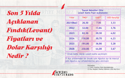 Son 5 Yılda Açıklanan Fındık Fiyatları ve Dolar Karşılığı Nedir ?